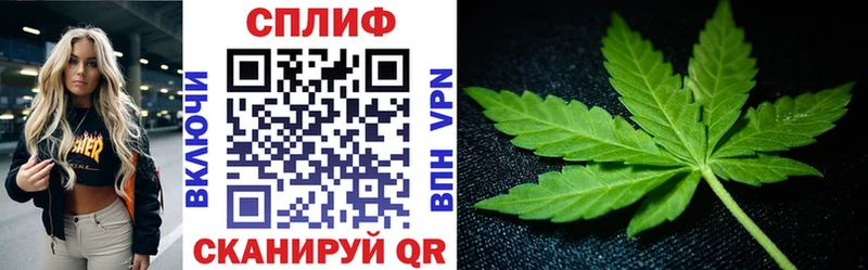 Наркошоп купить СОЛЬ  Конопля  МЕФ  Галлюциногенные грибы  Гашиш  Орлов