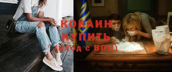 ПСИЛОЦИБИНОВЫЕ ГРИБЫ Горняк