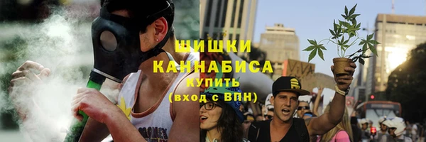 ПСИЛОЦИБИНОВЫЕ ГРИБЫ Горняк