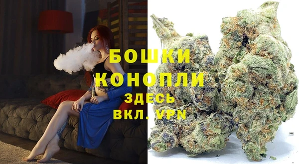 apvp Горнозаводск