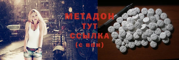 ПСИЛОЦИБИНОВЫЕ ГРИБЫ Горняк